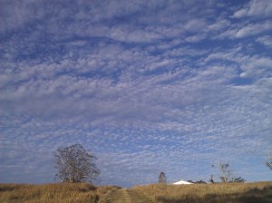 front gate home from Lismore
