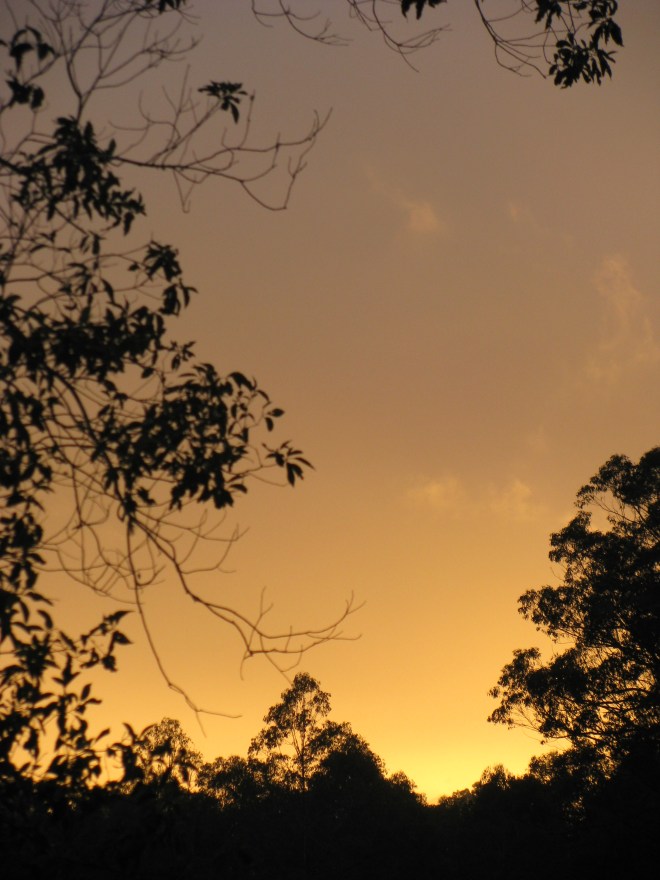 the first golden rays ...