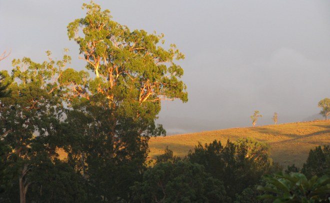 Early morning Autumn colours...