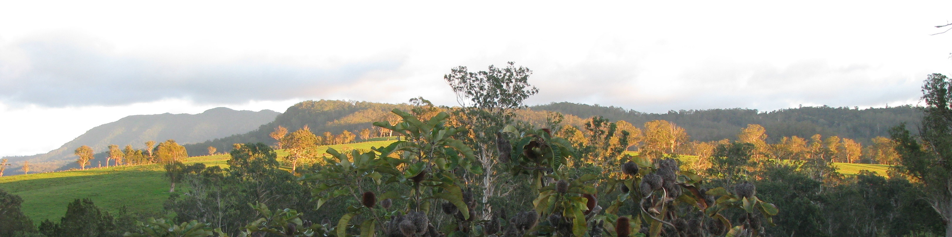 the border ranges...