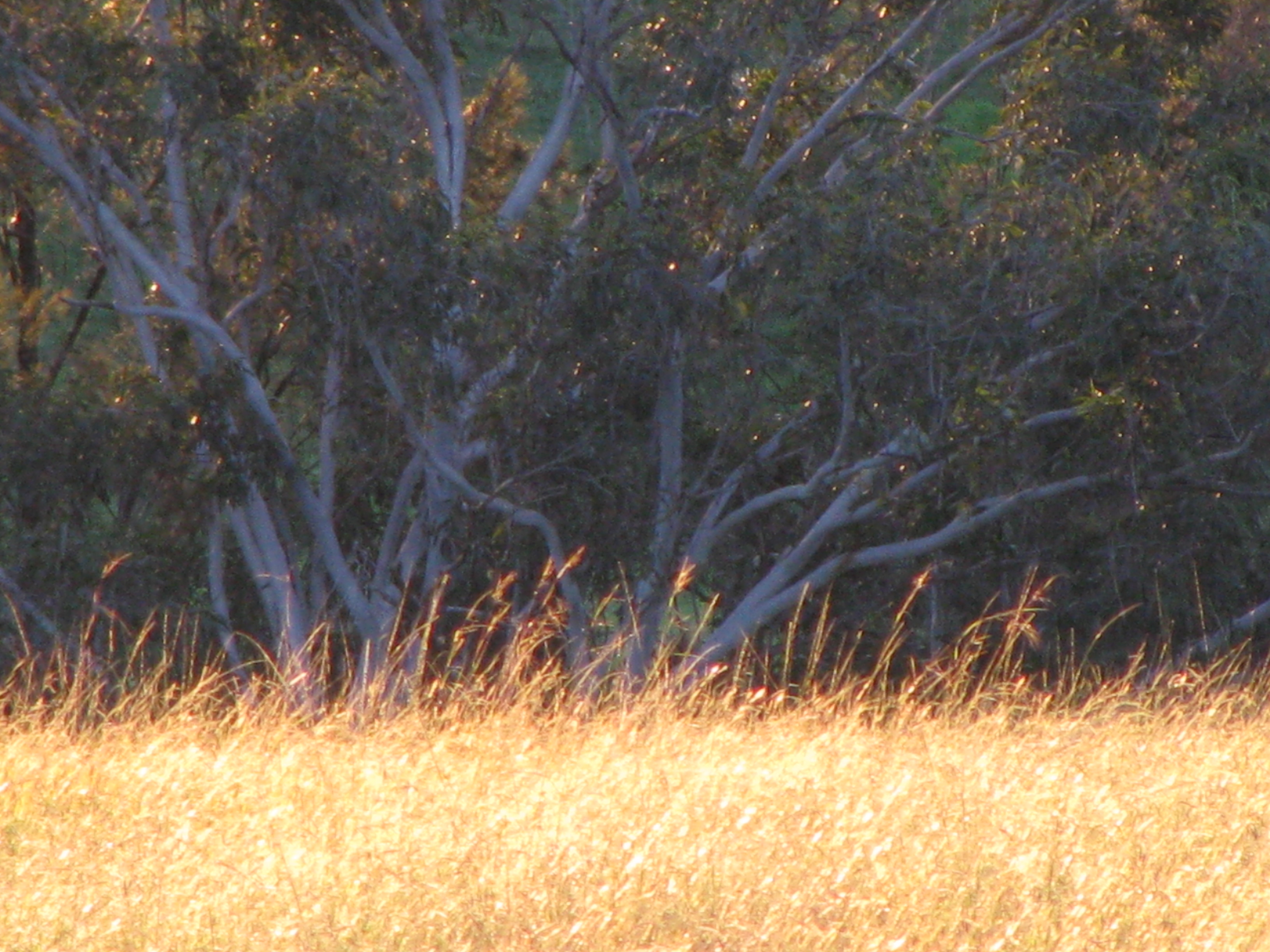 this magnificent earth...